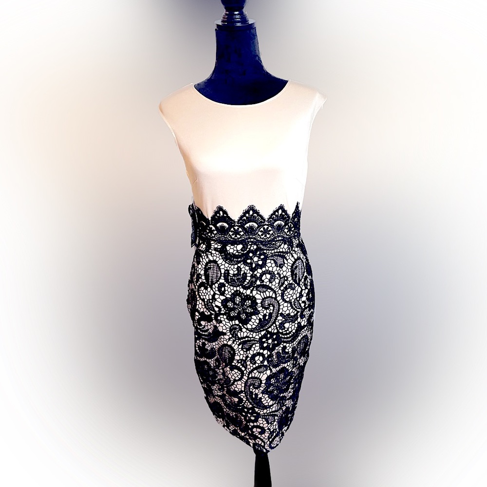 Lace Bottom Bodycon Midi Dress